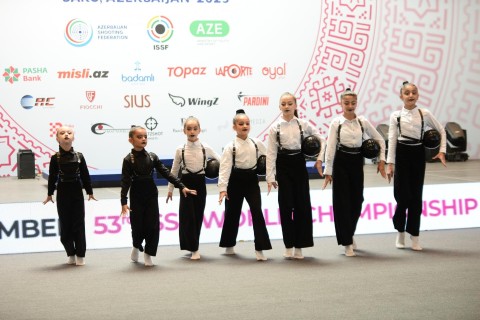 Winner of ISSF World Championship in non-Olympic shooting in Baku revealed