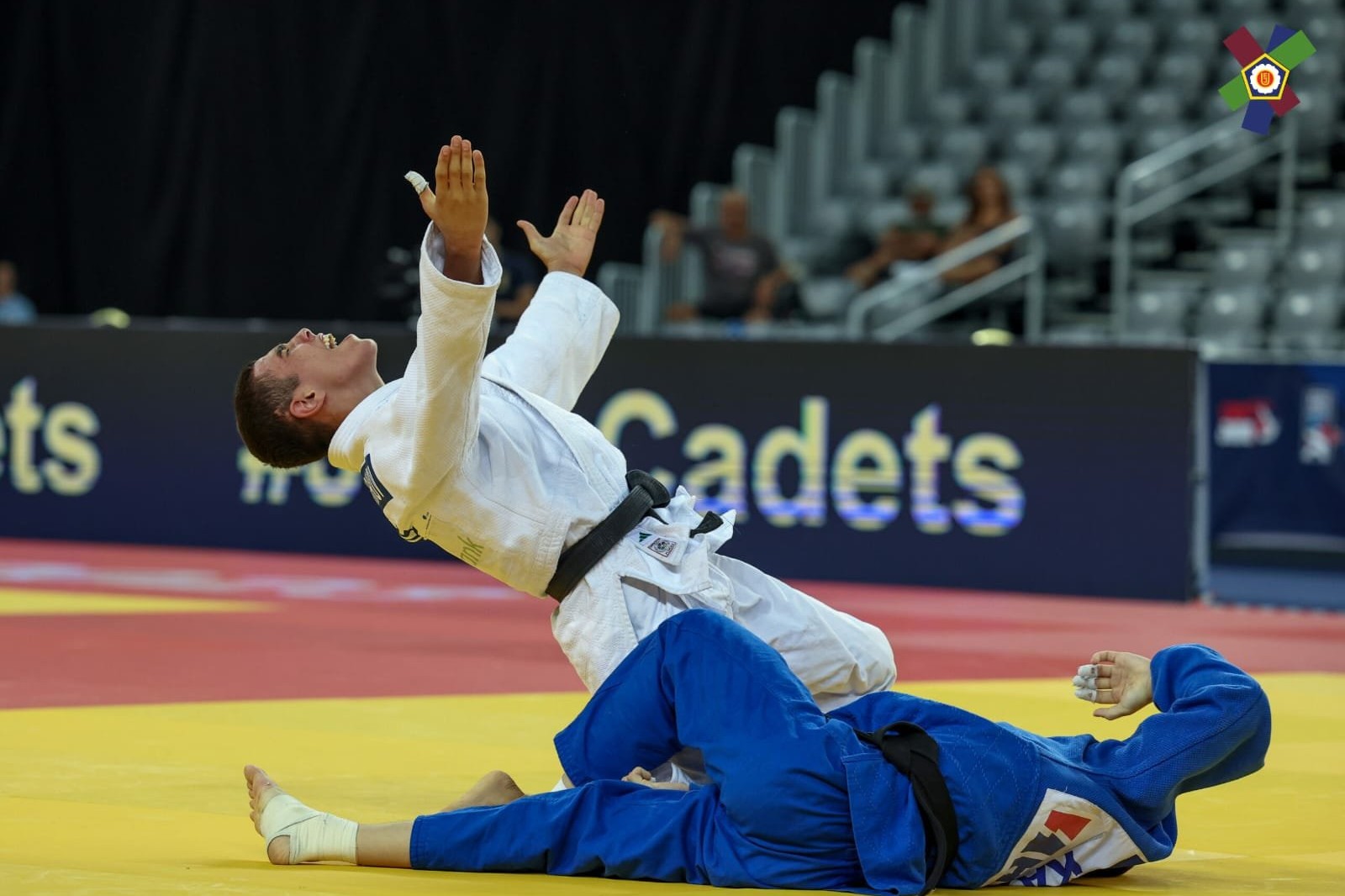 Nihad Məmişov dünya çempionu olub