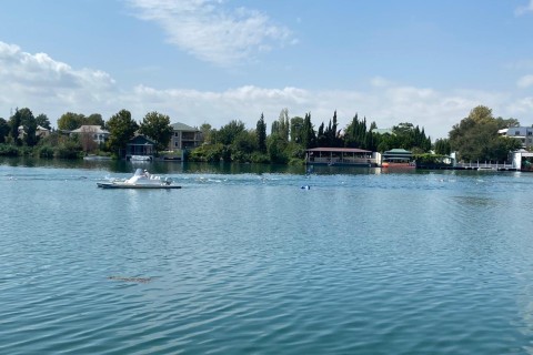 Photos from the open water swimming competition “Let’s cross the Kura”