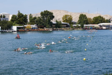 Swimming competition in Mingachevir - PHOTO