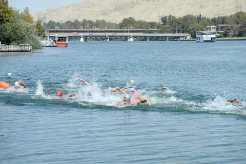 Swimming competition in Mingachevir - PHOTO