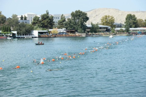 Swimming competition in Mingachevir - PHOTO