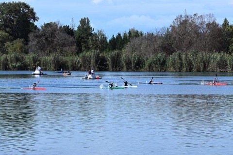 Avarçəkmə üzrə Azərbaycan çempionatı başa çatıb - FOTO