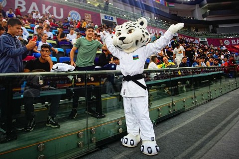 Judo Federation presented its mascot: "Ledo" - PHOTO