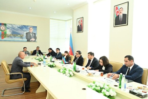 Farid Gayibov received citizens of Masalli and Yardimli districts - PHOTO
