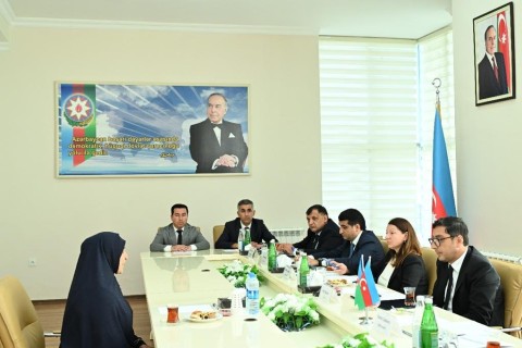 Farid Gayibov received citizens of Masalli and Yardimli districts - PHOTO