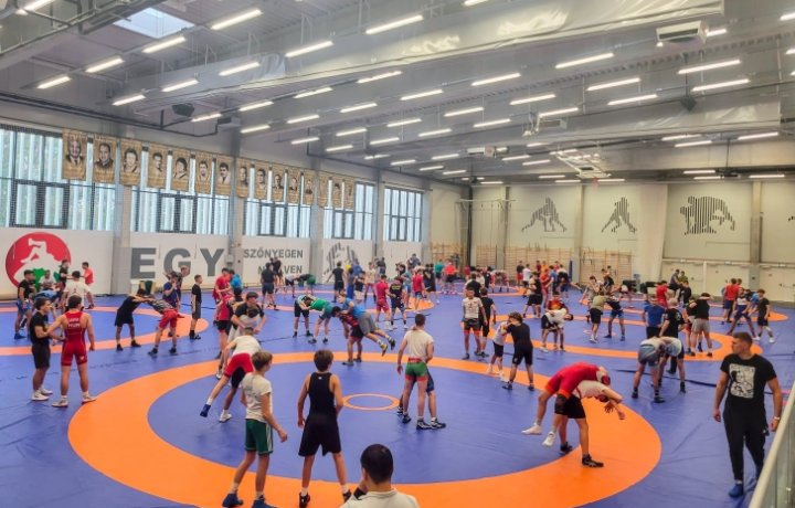 The Azerbaijani national team, which was ranked second in the European and World Championships, is training in Budapest