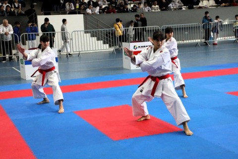 "Black Sea" and "Caspian Sea" open tournament has been held - PHOTO