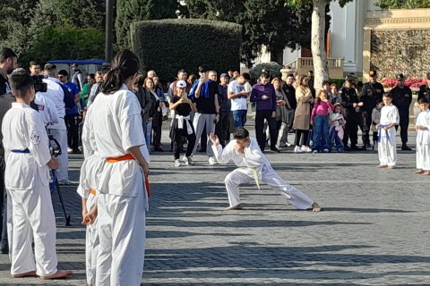 Bakı bulvarında karate seminarı keçirilib - VİDEO - FOTO