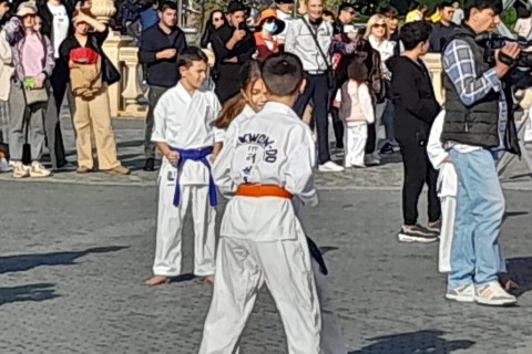 Bakı bulvarında karate seminarı keçirilib - VİDEO - FOTO