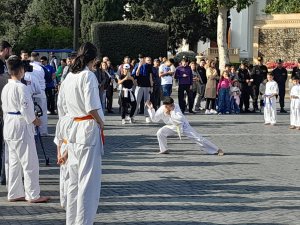 A karate seminar was held on Baku Boulevard - VIDEO - PHOTO