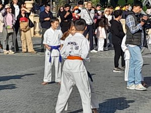 A karate seminar was held on Baku Boulevard - VIDEO - PHOTO