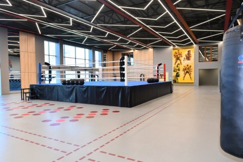 President Ilham Aliyev viewed conditions created in Mehdi Huseynzade Sumgayit City Stadium - PHOTO