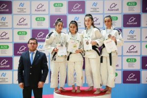 The winners of 7 weight categories have been determined in the Baku Championship - PHOTO