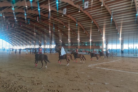 The National Equestrian Festival has started in Baku - PHOTO