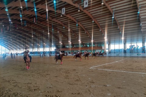 The National Equestrian Festival has started in Baku - PHOTO