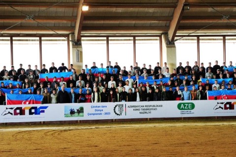 The Azerbaijani national team reached the finals of the World Championship - PHOTO