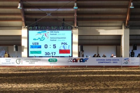 The Polish team was ranked at third in the world - PHOTO