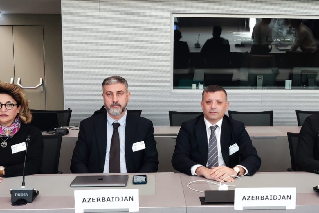 Təhminə Tağı-zadə antidopinq standartlarının müəyyənləşdirilməsində iştirak edib
