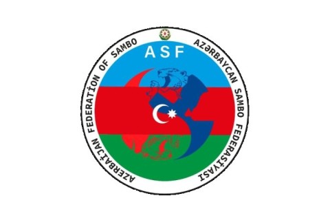 The statement of the Sambo Federation: the press release of the Armenian deputy minister is full of lies and slander - PHOTOFACT