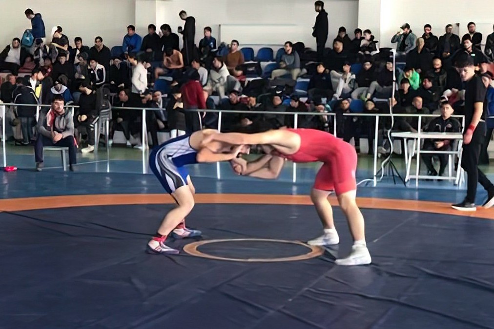 Azerbaijan Wrestling Championship qualifying competition was held - WINNERS