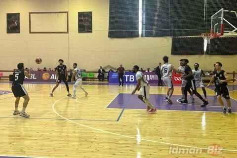 NTD-INDIGO became the leader - PHOTO