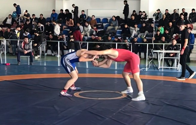 Azerbaijan Wrestling Championship qualifying competition was held - WINNERS