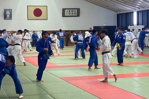 Azerbaijani judokas participate in a training camp in Japan - PHOTO