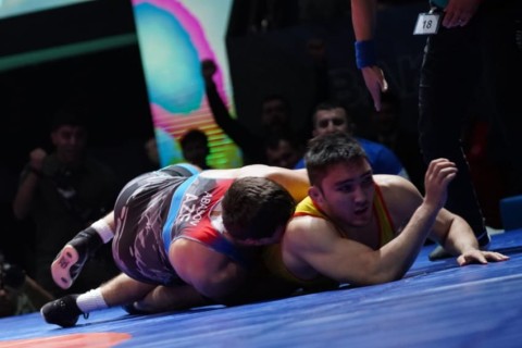 Азербайджанские борцы завоевали 11 медалей на чемпионате мира - ФОТО