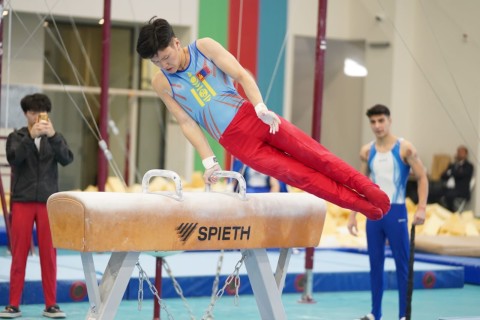 Монгольские гимнасты выступают в чемпионате Азербайджана