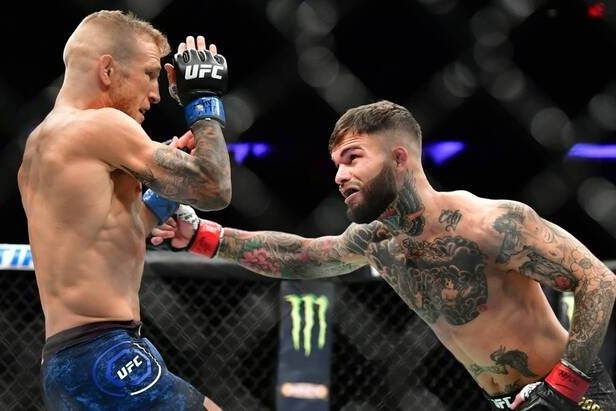 Топ-5 друзей в UFC, ставших заклятыми врагами - ВИДЕО - ФОТО