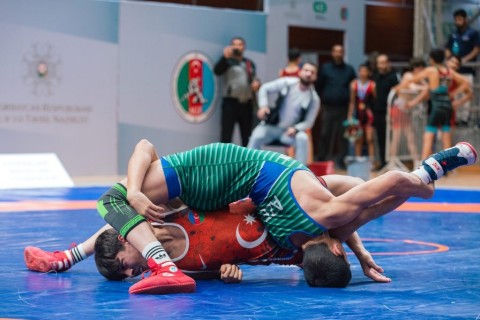 4 more gold medals from the Azerbaijani freestyle wrestlers - PHOTO