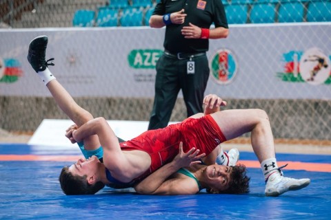 4 more gold medals from the Azerbaijani freestyle wrestlers - PHOTO