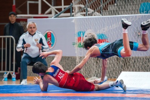 4 more gold medals from the Azerbaijani freestyle wrestlers - PHOTO
