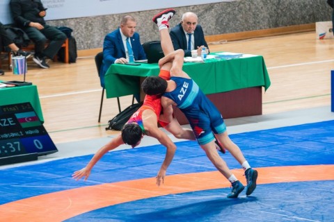 4 more gold medals from the Azerbaijani freestyle wrestlers - PHOTO