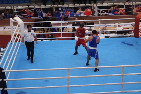 Определились полуфиналисты чемпионата Азербайджана в 7 весовых категориях - ФОТО