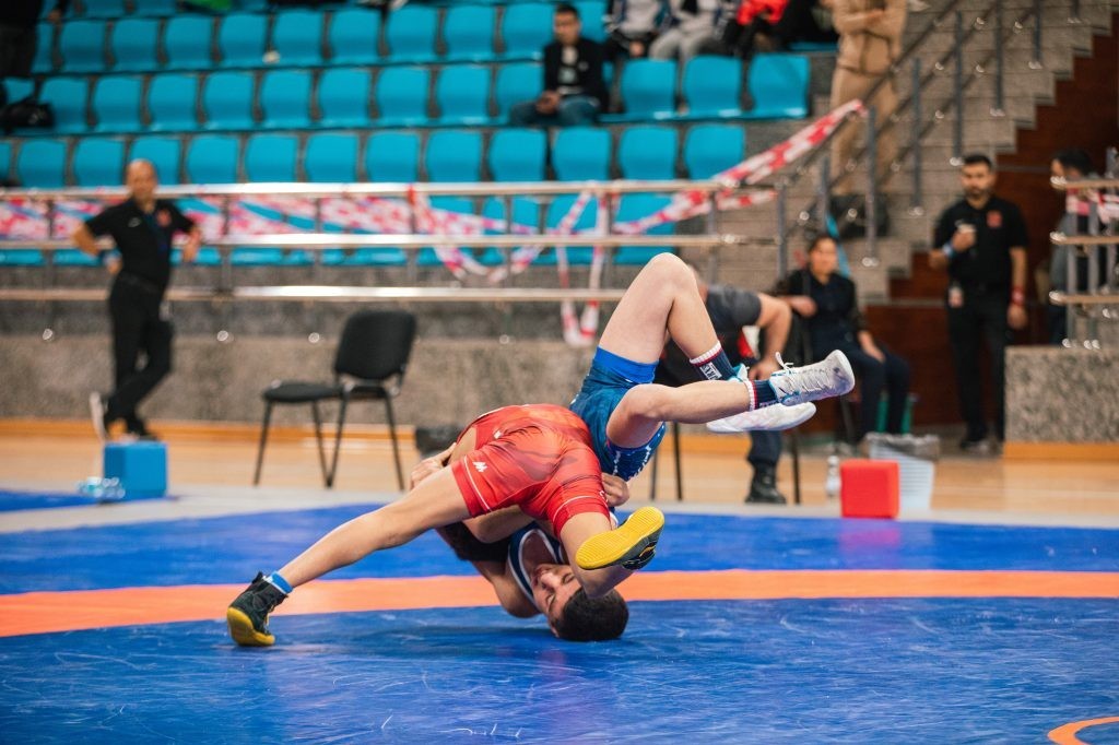 Victory of Azerbaijani wrestlers in the international tournament - PHOTO