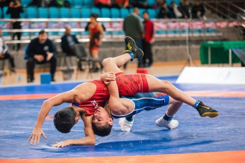 Victory of Azerbaijani wrestlers in the international tournament - PHOTO