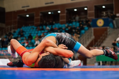 Victory of Azerbaijani wrestlers in the international tournament - PHOTO