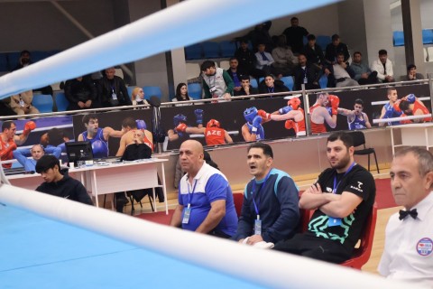Определились боксеры, вышедшие в финал чемпионата Азербайджана - ФОТО