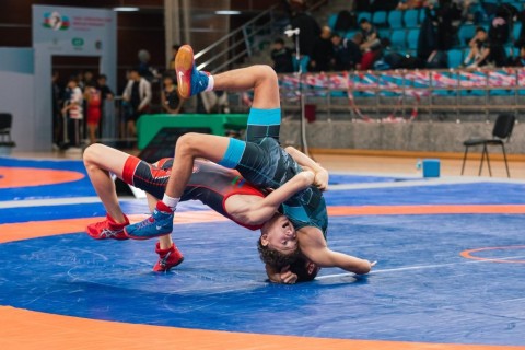 Maximum results from Azerbaijani wrestlers - PHOTO