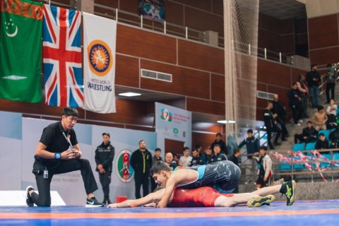 Maximum results from Azerbaijani wrestlers - PHOTO