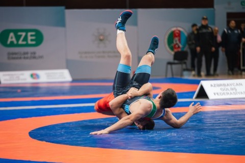 Maximum results from Azerbaijani wrestlers - PHOTO