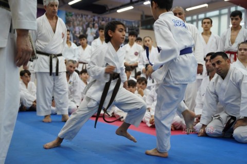 Hitoshi Kasuya, 9th degree black belt, at a seminar in Baku - PHOTO