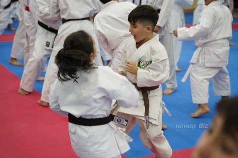 Hitoshi Kasuya, 9th degree black belt, at a seminar in Baku - PHOTO