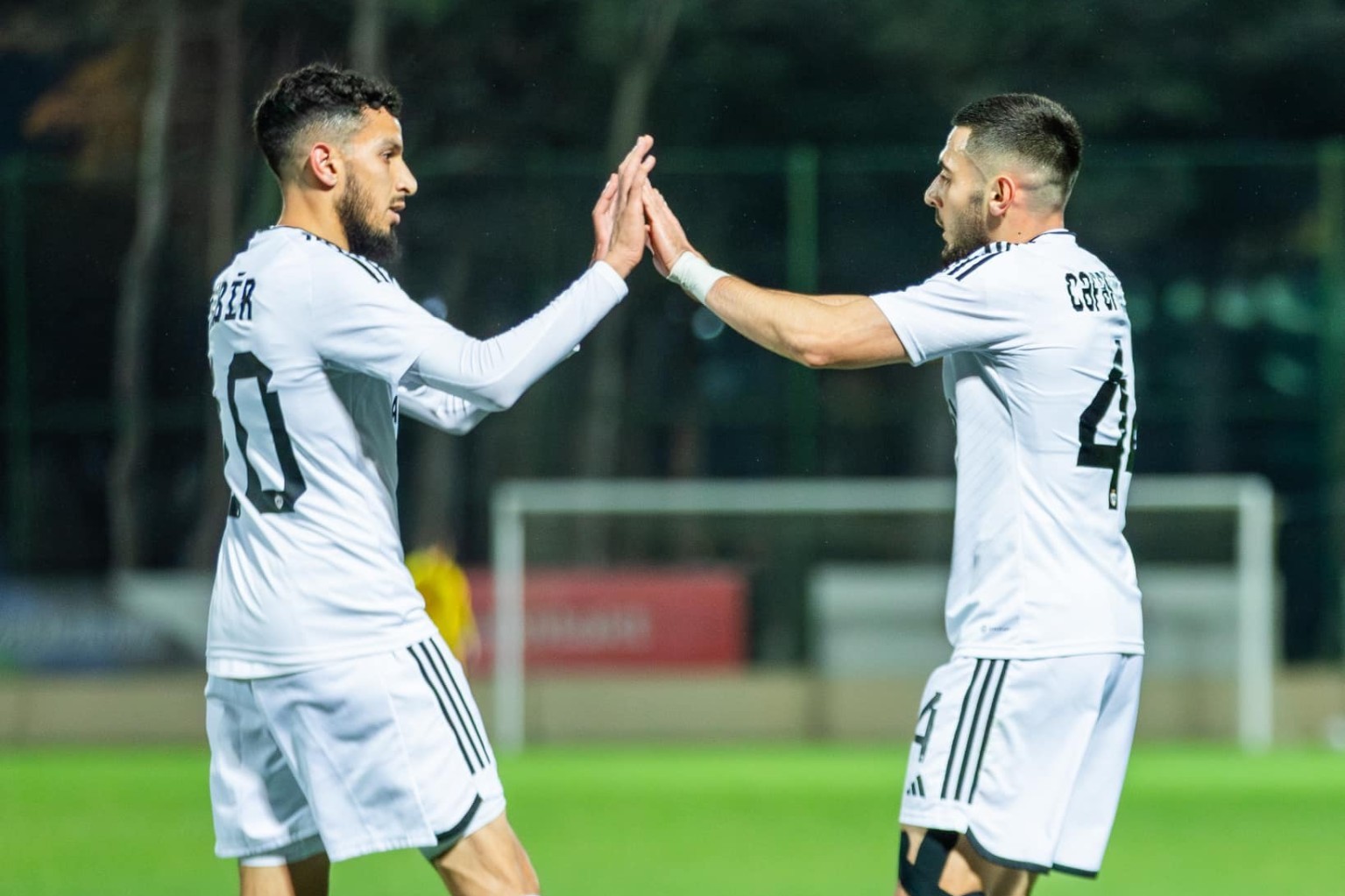 The number of tickets sold for the game "Qarabag" - "Hacken" has been announced