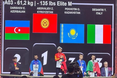 MMA World Championship: Azerbaijan won 3 medals  - PHOTO