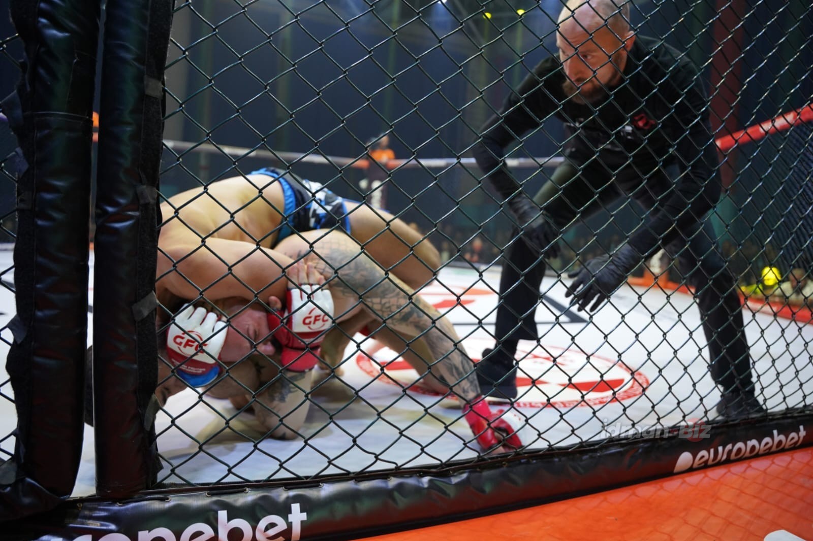 Rear naked choke from Azerbaijani MMA fighter - PHOTO