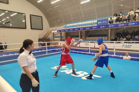An international boxing tournament has started in Baku - PHOTO