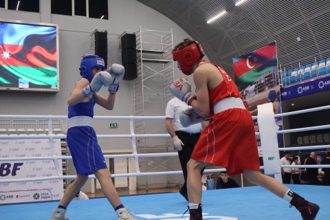 3 Azerbaijani boxers are in the semi-finals of the international tournament - PHOTO